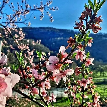 Hotel Ranc Brajlovic *