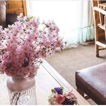 Hotel Ranc Brajlovic Ustikolina