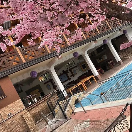 Ranc Brajlovic * Ustikolina