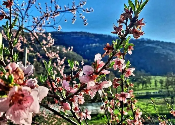 Hotel Ranc Brajlovic *