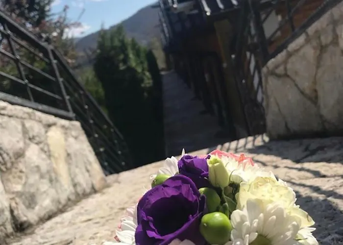 Ranc Brajlovic Ustikolina