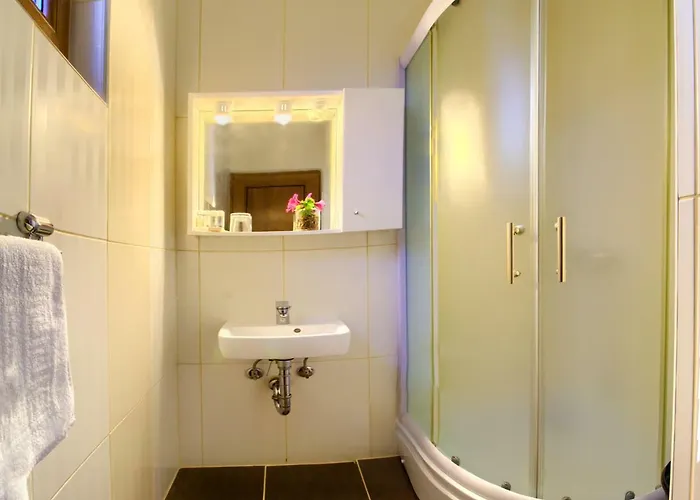 Hotel Ranc Brajlovic *